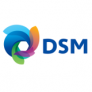 dsm_logo_new.36