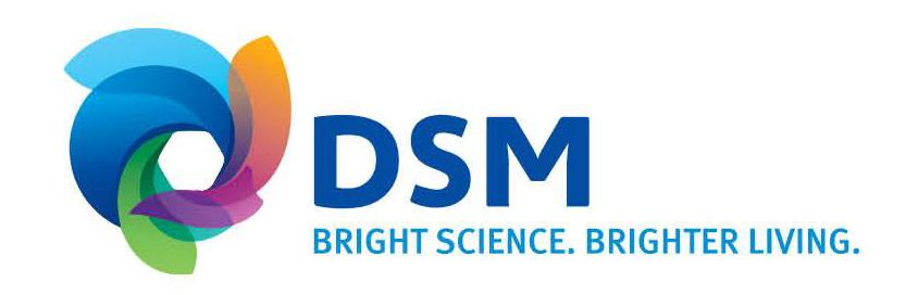 dsm logo